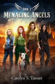 Menacing Angels - That Night: Avenging Angels (eBook, ePUB)