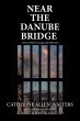 Near the Danube Bridge (eBook, ePUB) - Bild 1
