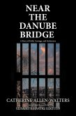 Near the Danube Bridge (eBook, ePUB)