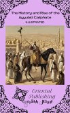 The History and Rise of the Ayyubid Caliphate (eBook, ePUB)