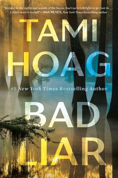 Cover Bad Liar (eBook, ePUB)