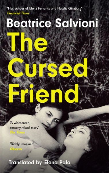 The Cursed Friend (eBook, ePUB)