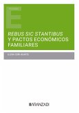 Rebus sic stantibus y pactos económicos familiares (eBook, ePUB)