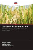 Lascano, capitale du riz