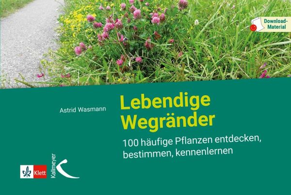 Lebendige Wegränder (eBook, PDF)