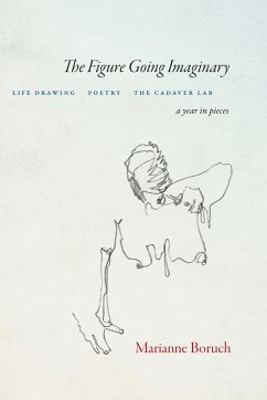 The Figure Going Imaginary - Boruch, Marianne