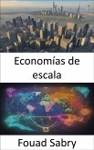 Economías de escala (eBook, ePUB)