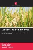 Lascano, capital do arroz