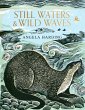 Still Waters & Wild Waves (eBook, ePUB) - Bild 1