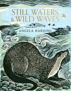 Cover Still Waters & Wild Waves (eBook, ePUB)