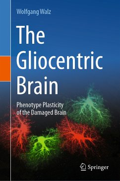 The Gliocentric Brain (eBook, PDF) - Walz, Wolfgang