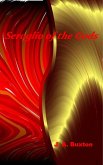 Seraglio of the Gods (eBook, ePUB)