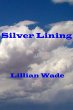 Silver Lining (eBook, ePUB) - Bild 1