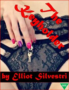 The Keyholder (eBook, ePUB) - Silvestri, Elliot