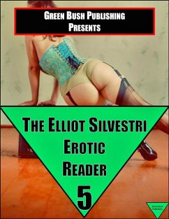 The Elliot Silvestri Reader 5 (eBook, ePUB) - Silvestri, Elliot