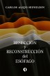 Resección y reconstrucción del... - Bild 1