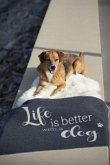 Fussenegger Haustierdecke &quote;life is better &quote; dog, klein