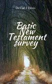 Basic New Testament Survey (eBook, ePUB)