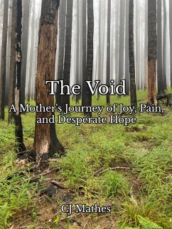 Cover The Void A Mother's Journey of Joy, Pain, and Desperate Hope (eBook, ePUB)