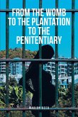 From the Womb to the Plantation to the Penitentiary (eBook, ePUB)