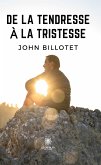 De la tendresse à la tristesse (eBook, ePUB)