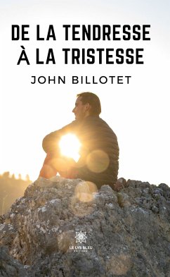 De la tendresse à la tristesse (eBook, ePUB) - Billotet, John