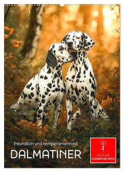 Dalmatiner - freundlich und temperamentvoll (Wandkalender 2025 DIN A2 hoch), CALVENDO Monatskalender - Calvendo;Roder, Peter