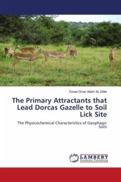 The Primary Attractants that Lead Dorcas Gazelle to Soil Lick Site