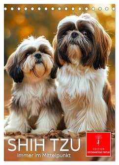 Shih Tzu - immer im Mittelpunkt (Tischkalender 2025 DIN A5 hoch), CALVENDO Monatskalender