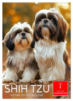 Shih Tzu - immer im Mittelpunkt (Wandkalender 2025 DIN A2 hoch), CALVENDO Monatskalender