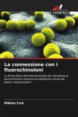 La connessione con i fluorochinoloni