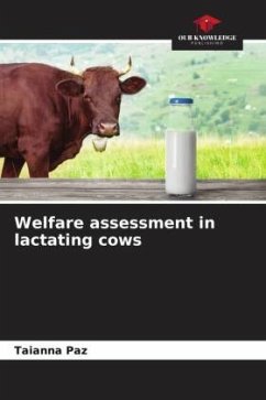 Welfare assessment in lactating cows - Paz, Taianna