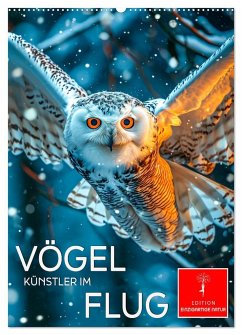 Vögel - Künstler im Flug (Wandkalender 2025 DIN A2 hoch), CALVENDO Monatskalender