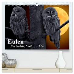 Eulen. Nachtaktiv, lautlos, schön (hochwertiger Premium Wandkalender 2025 DIN A2 quer), Kunstdruck in Hochglanz - Calvendo;Stanzer, Elisabeth