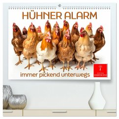 Hühner Alarm (hochwertiger Premium Wandkalender 2025 DIN A2 quer), Kunstdruck in Hochglanz - Calvendo;Roder, Peter