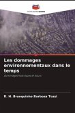 Les dommages environnementaux dans le temps