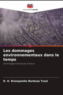 Les dommages environnementaux dans le temps - Branquinho Barboza Tozzi, R. H.