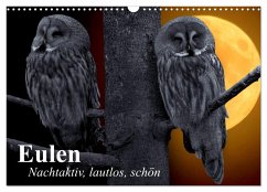 Eulen. Nachtaktiv, lautlos, schön (Wandkalender 2025 DIN A3 quer), CALVENDO Monatskalender - Calvendo;Stanzer, Elisabeth