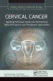 Cervical Cancer (eBook, ePUB)