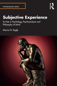 Cover Subjective Experience (eBook, ePUB)