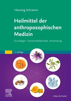 Heilmittel der anthroposophischen Medizin (eBook, ePUB) - Schramm, Henning