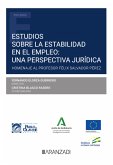 Estudios sobre la estabilidad en el empleo: una perspectiva jurídica (eBook, ePUB)