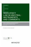Insolvency Law in UNCITRAL: Instruments and comments (eBook, ePUB)