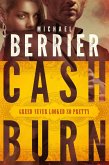 Cash Burn (eBook, ePUB)