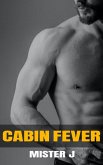 Cabin Fever (eBook, ePUB) Cabin Fever (eBook, ePUB)