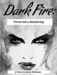 Dark Fire: Tomorrow's Awakening (eBook,... - Bild 1
