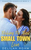 Fishing For Their Small Town Love (Romancing Sugarville, #4) (eBook, ePUB)