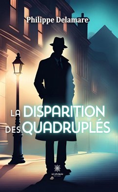 La disparition des quadruplés (eBook, ePUB) - Delamare, Philippe