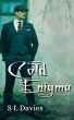 Cold Enigma (Cold Case) (eBook, ePUB) - Bild 1
