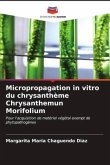 Micropropagation in vitro du chrysanthème Chrysanthemun Morifolium